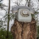 Reflex'82 13 Uschi Halter